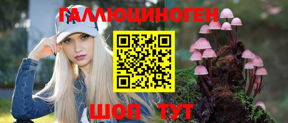 Псилоцибиновые грибы Magic Shrooms  Вход с VPN  Янаул 